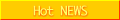 Hot NEWS